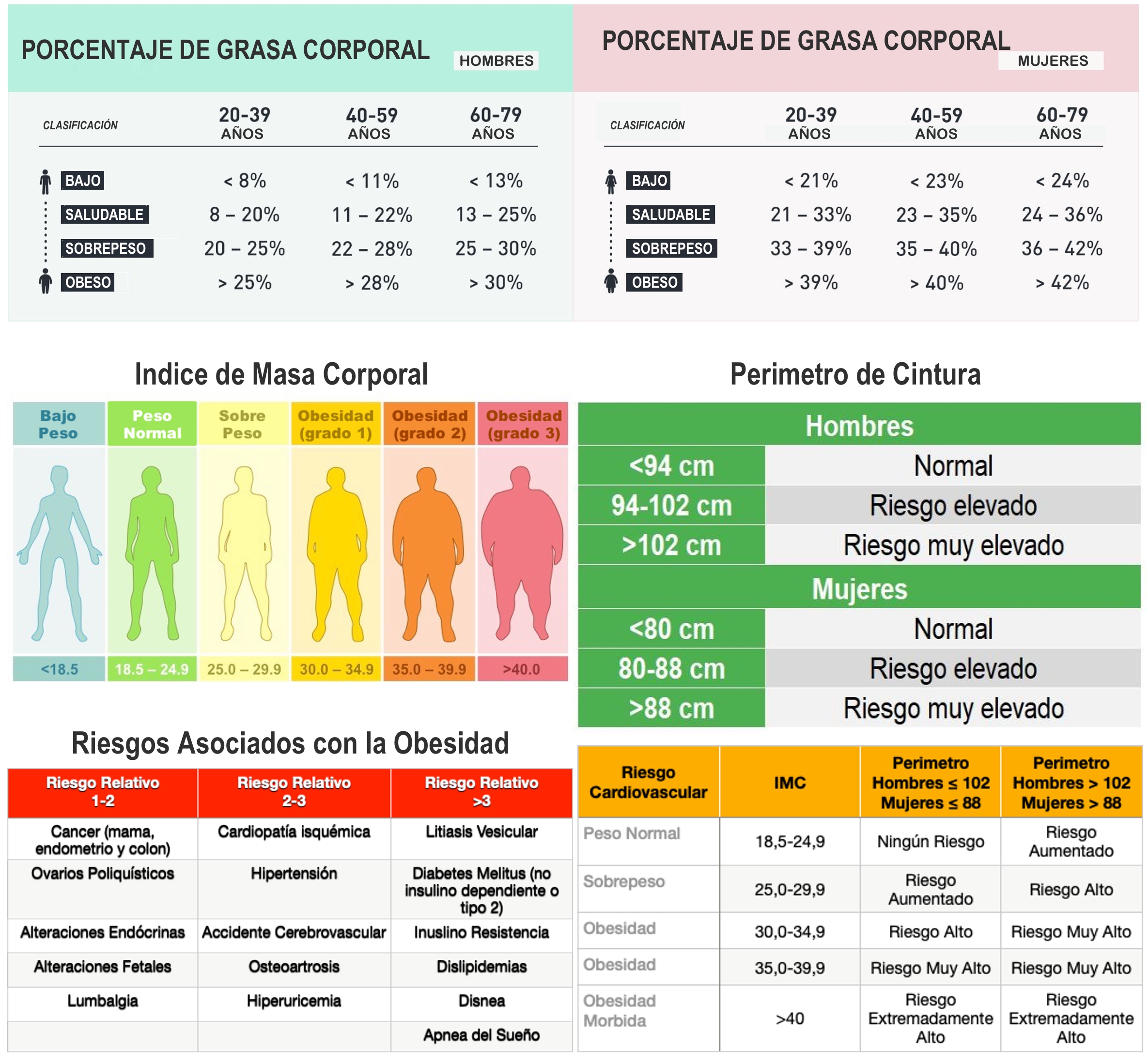 Imagen%20Resultados%20Escaner